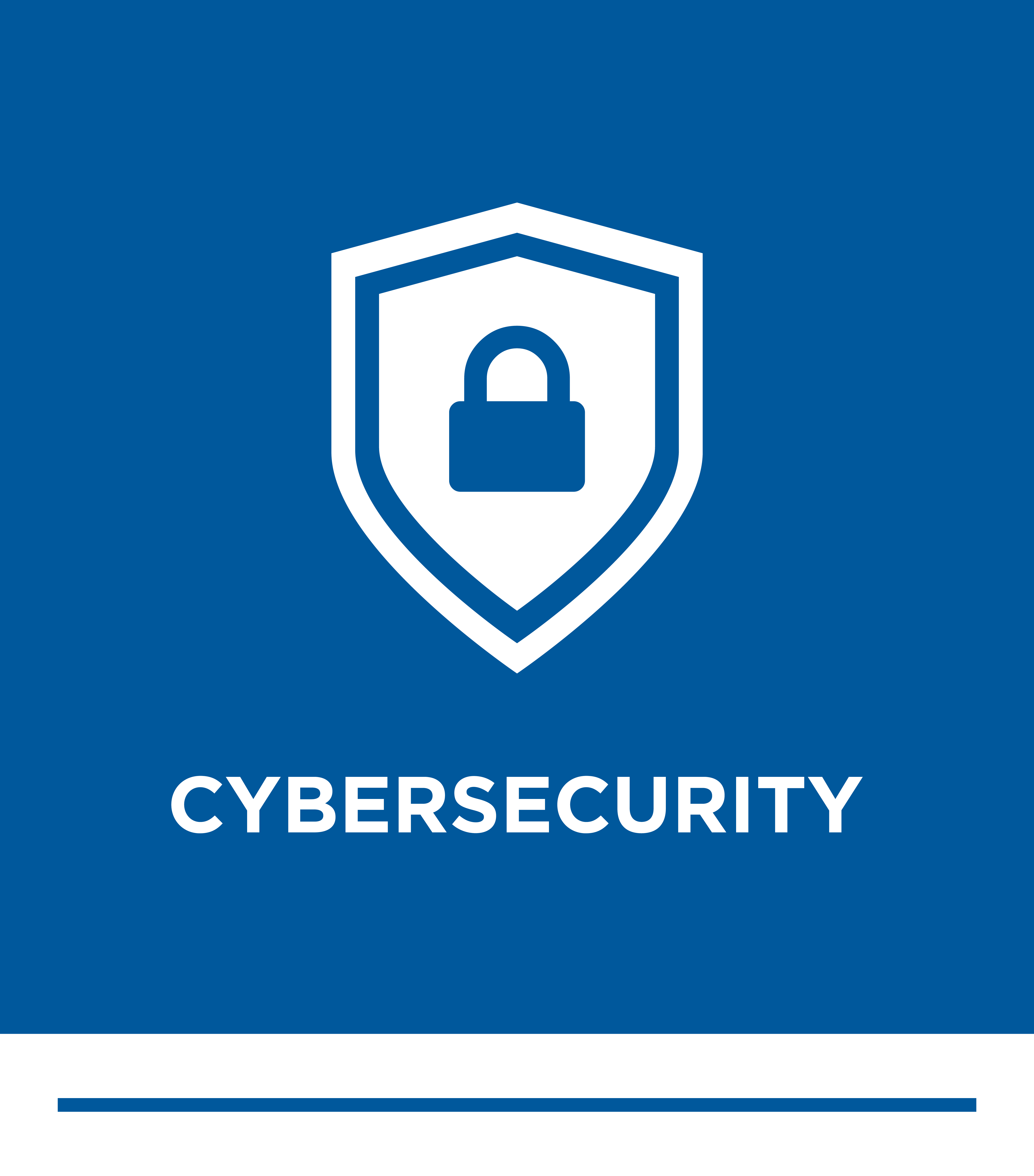Cyber Security Solutions for your business